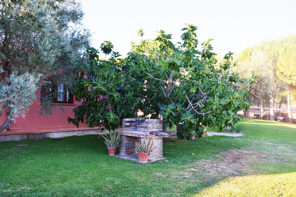 Agriturismo L'Aquilone 马利亚诺因托斯卡纳 外观 照片