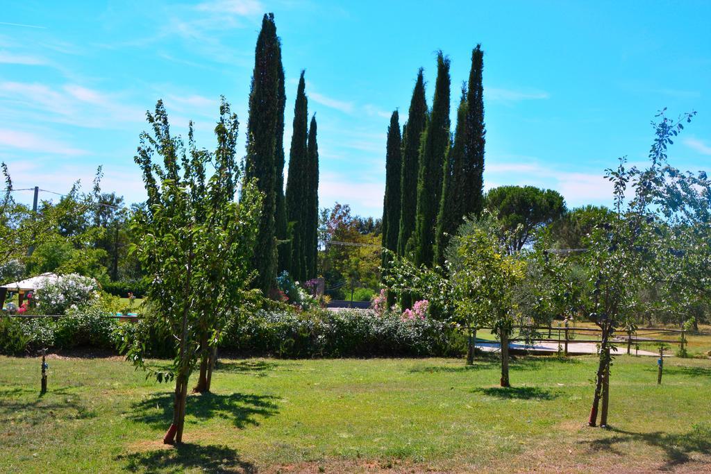 Agriturismo L'Aquilone 马利亚诺因托斯卡纳 外观 照片