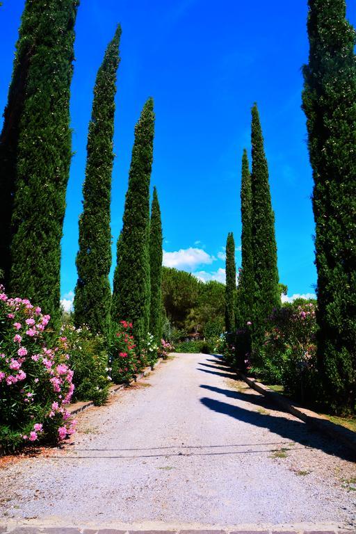 Agriturismo L'Aquilone 马利亚诺因托斯卡纳 外观 照片