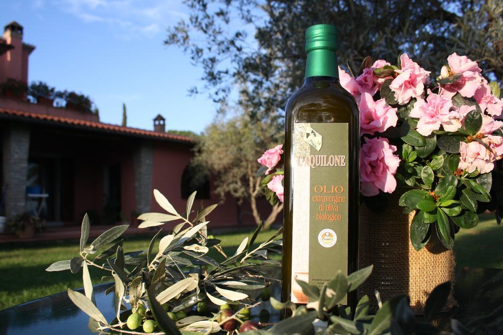 Agriturismo L'Aquilone 马利亚诺因托斯卡纳 外观 照片