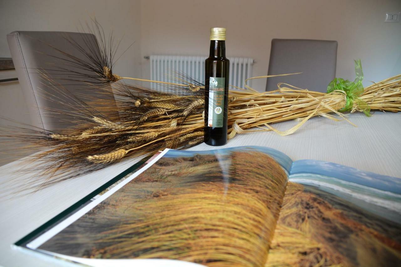 Agriturismo L'Aquilone 马利亚诺因托斯卡纳 外观 照片